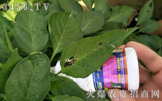 绿蜻蜓—杀虫二十年,同等价格比质量,做杀虫剂我们是认真的! 绿蜻蜓—杀虫二十年,同等价格比质量,做杀虫剂我们是认真的!