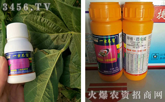 绿蜻蜓—杀虫二十年,同等价格比质量,做杀虫剂我们是认真的! 绿蜻蜓—杀虫二十年,同等价格比质量,做杀虫剂我们是认真的!