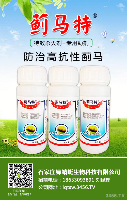 蓟马为何难杀尽?什么时候打药有讲究! 蓟马为何难杀尽?什么时候打药有讲究!