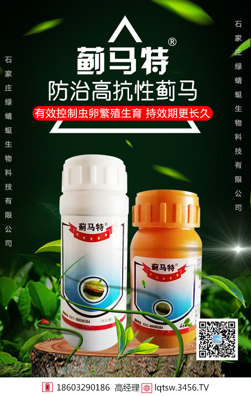 蓟马为何难杀尽?什么时候打药有讲究! 蓟马为何难杀尽?什么时候打药有讲究!