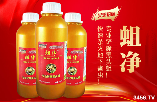 韭蛆、蒜蛆地下害虫爆发,学会这一招轻松应对! 韭蛆、蒜蛆地下害虫爆发,学会这一招轻松应对!